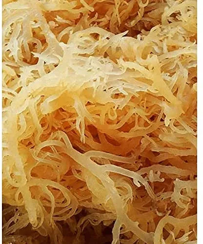 Organic Irish Sea Moss - Bulk