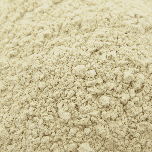 Organic Garlic Powder - Bulk