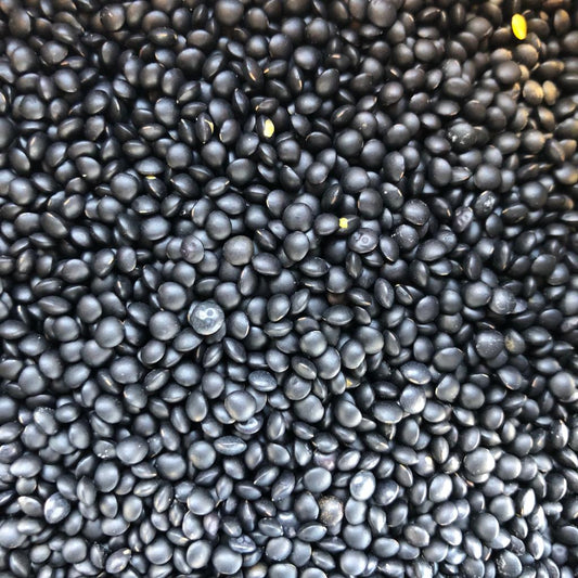 Organic Beluga Lentils - Bulk