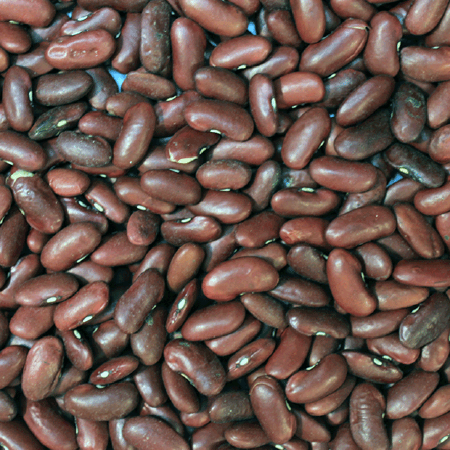 Organic Red Kidney Beans - Bulk