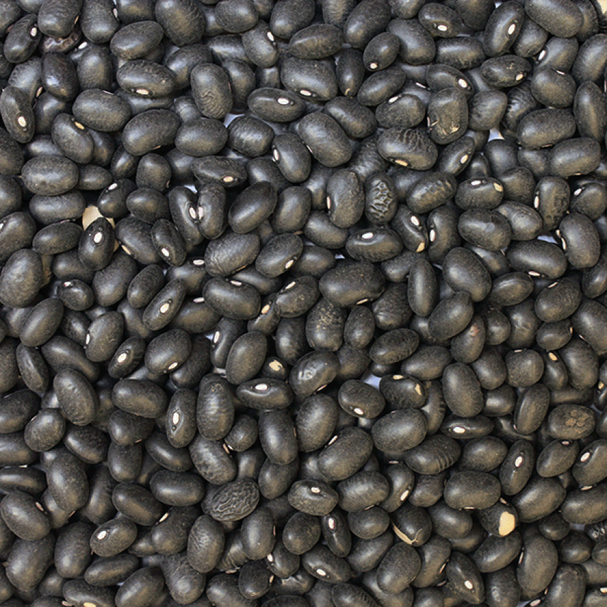 Organic Black Beans - Bulk