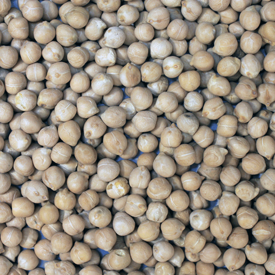 Organic Chickpeas - Bulk