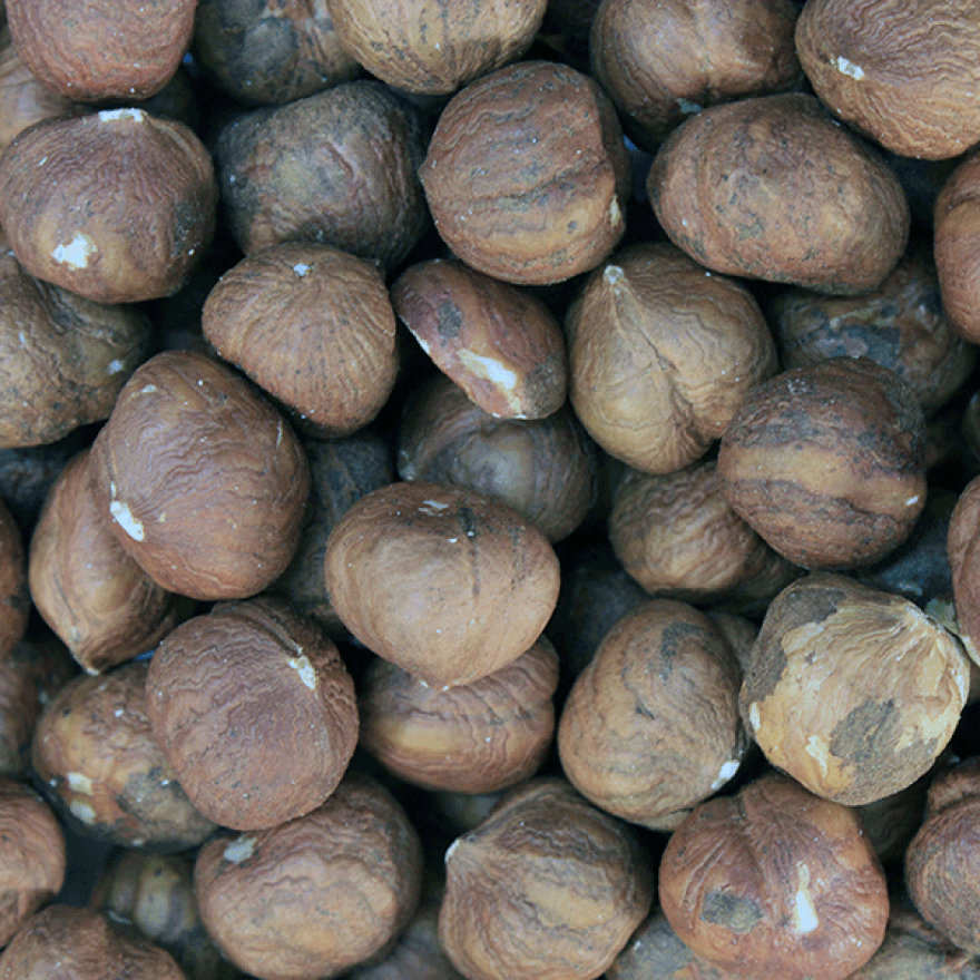 Organic Hazelnuts - Bulk