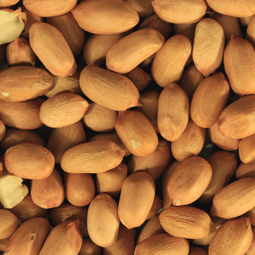 Organic Raw Peanuts - Bulk