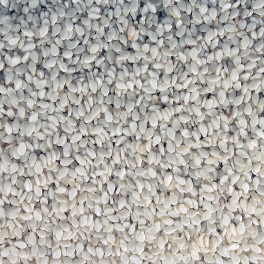 Organic White Sesame Seeds - Bulk