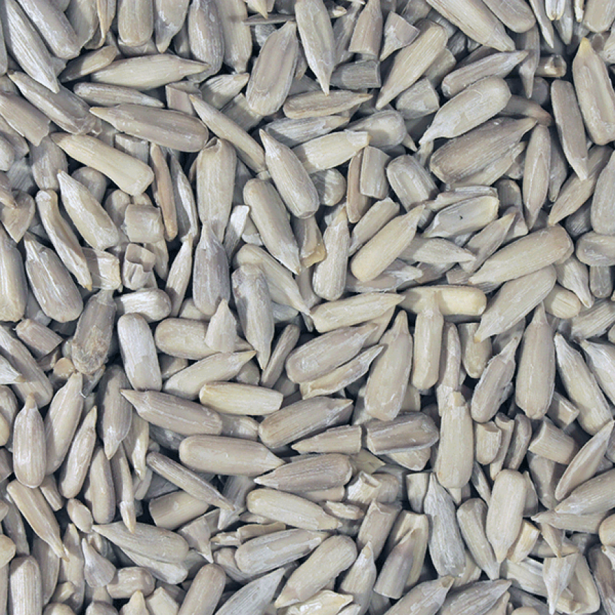 Organic Sunflower Seeds - Bulk